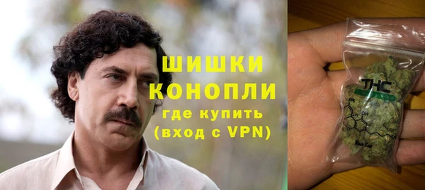 PSILOCYBIN Абдулино