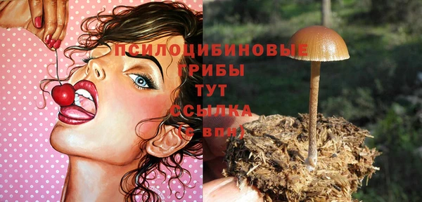 марки nbome Протвино