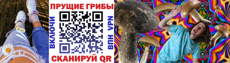 Галлюциногенные грибы Cubensis хочу Инсар
